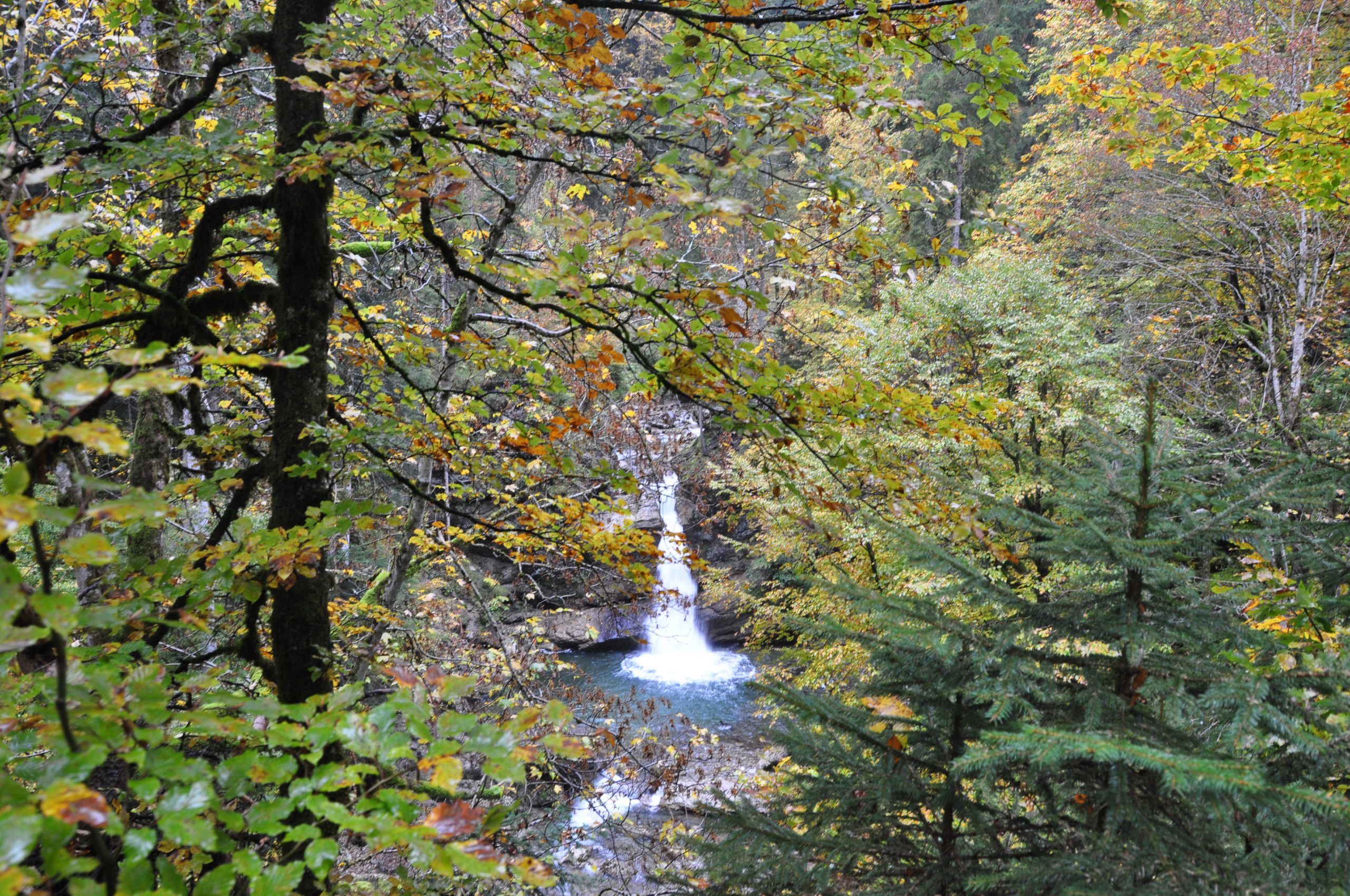 Ostertaler Tobelweg mit Kindern