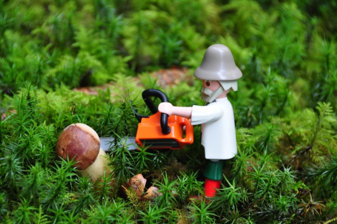 Tolle Waldaktivitäten mit Kindern: Eine Playmobilfigur hilft beim Schwammerl suchen.