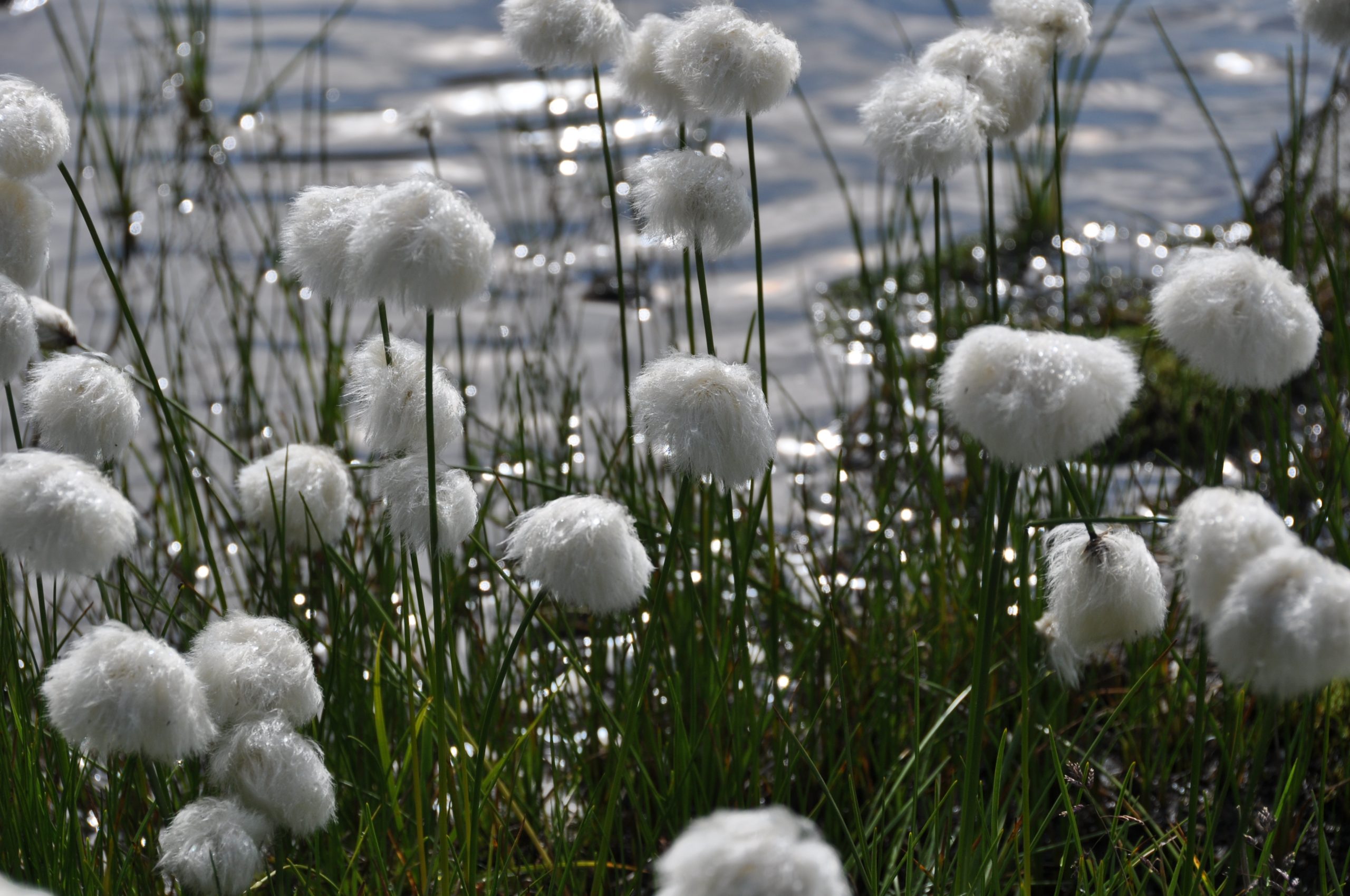 Familienresilienz – das macht jetzt Eltern und Kinder stark