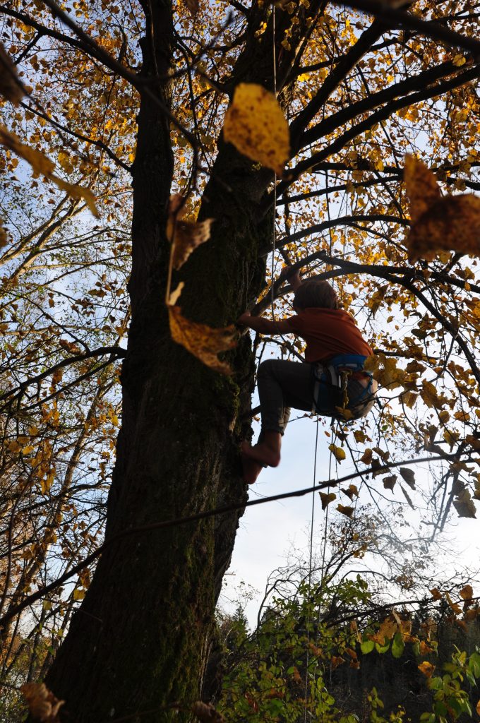 Kind klettert mit Seil und Gurt einen Baum hoch
