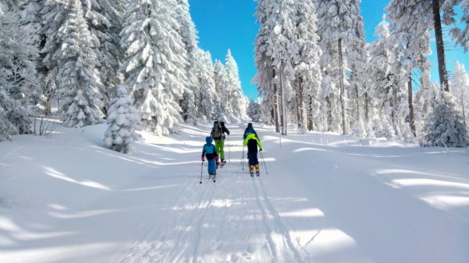 Skitour auf den Großen Arber. Tief verschneiter Wald, hellblauer Himmel, vier Skitourengeher, darunter drei Kinder