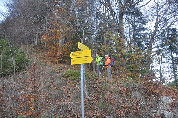 Wegweiser zur Notkarspitze. Im Hintergrund zwei Wanderer im Herbstwald